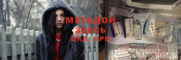 прущие грибы Каменка