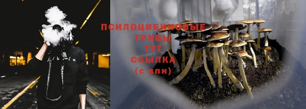 ГАЛЛЮЦИНОГЕННЫЕ ГРИБЫ Алексин