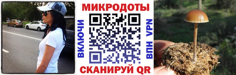 Псилоцибиновые грибы Cubensis  цены   Аркадак 